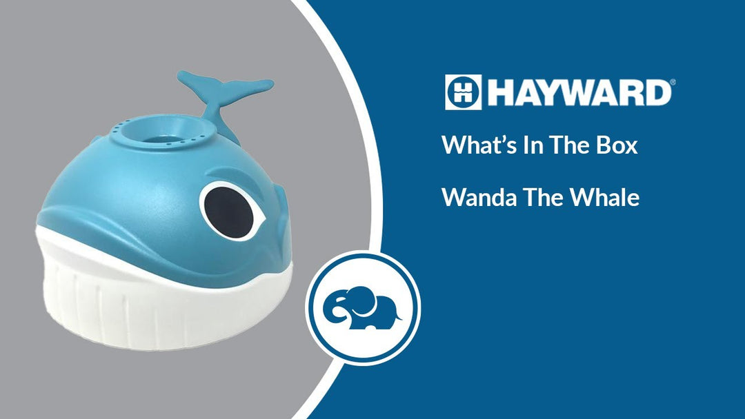 Hayward's Wanda the Whale Above Ground Pool Cleaner - What's In the Box!