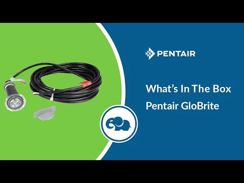 Pentair GloBrite LED Light - What's In The Box