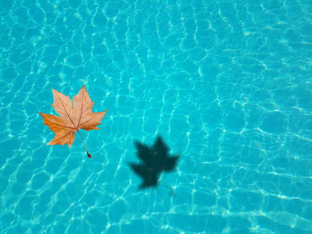 Fall Pool Maintenance Tips