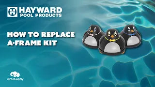 Hayward Penguin A-Frame Kit Overview!