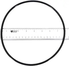 Pentair Seal Plate O-Ring 8.5