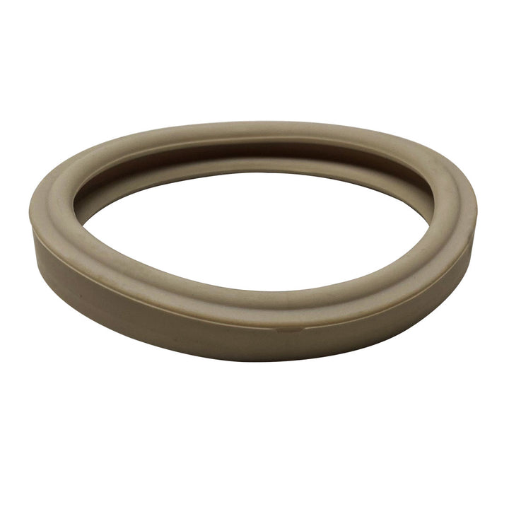 Pentair Replacement Lens Gasket