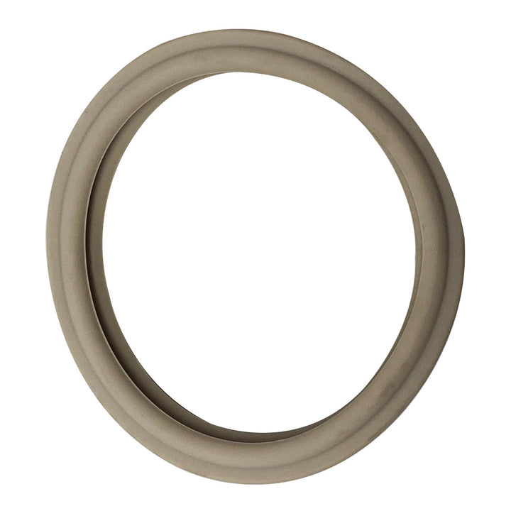 Pentair Replacement Lens Gasket