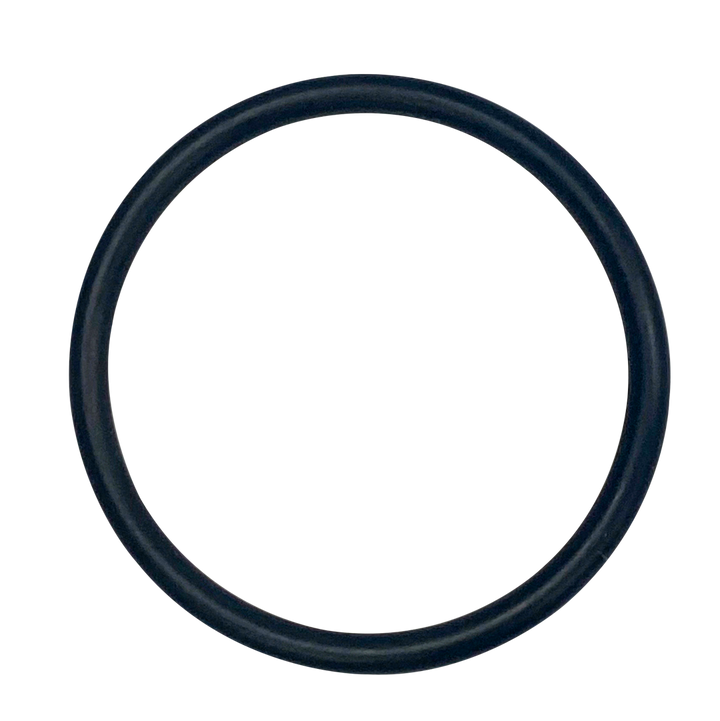 Hayward (SPX1022CZ2) Seal Plug O-Ring || O-125-BAGGED