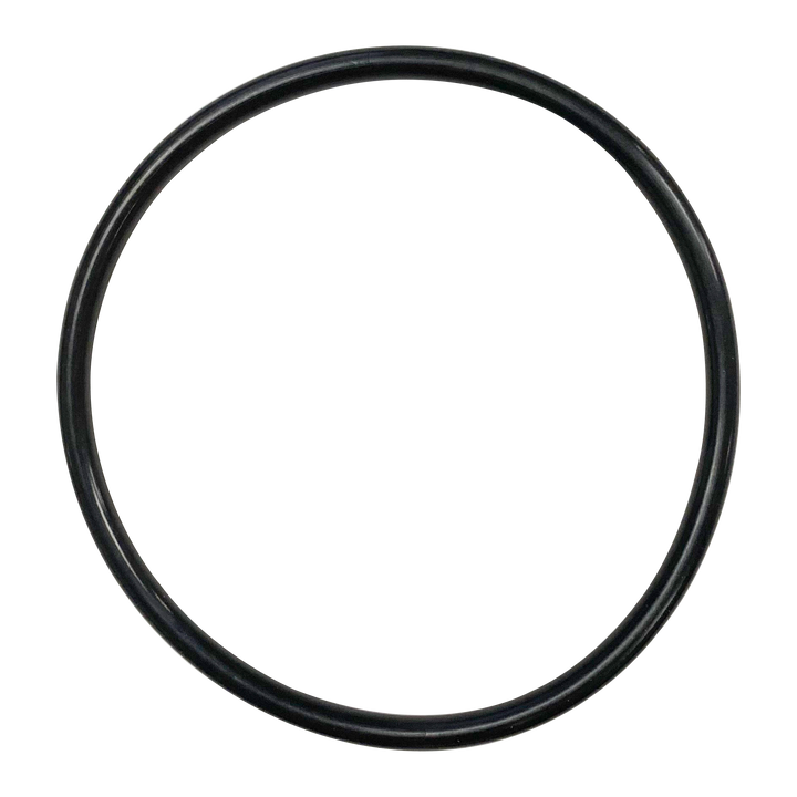 Jandy (R0452100/R0449200) Universal Union 3 Port Cell O-Ring || O-244-BAGGED