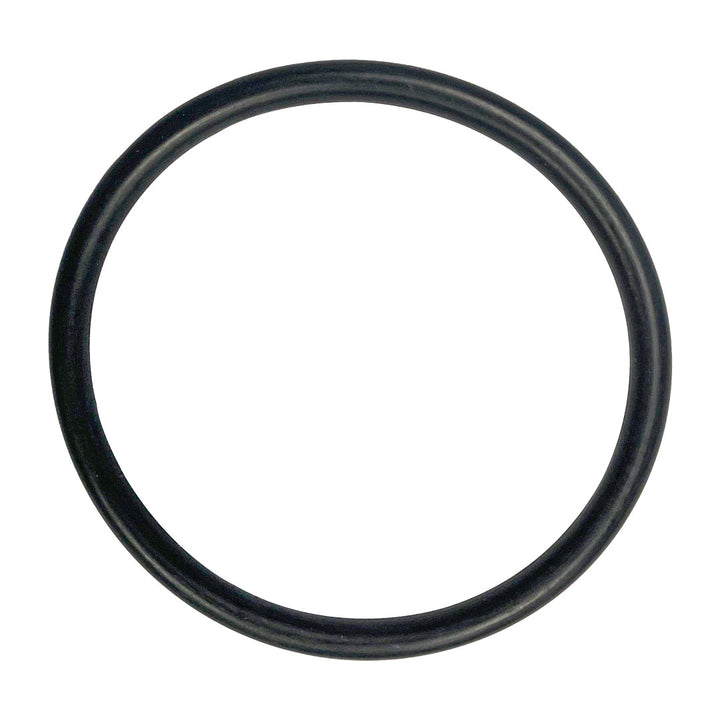 Hayward (SX360Z1) Micro Clear & Pro Series Bulkhead O-Ring || O-246-BAGGED