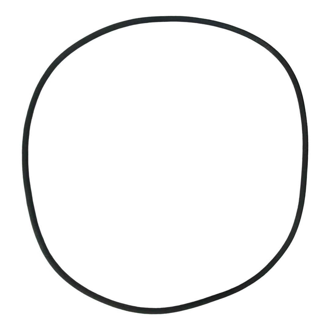 Ampro (1403) Cover Gasket O-Ring || O-309-BAGGED