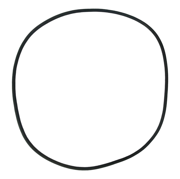 Ampro (1403) Cover Gasket O-Ring || O-309-BAGGED