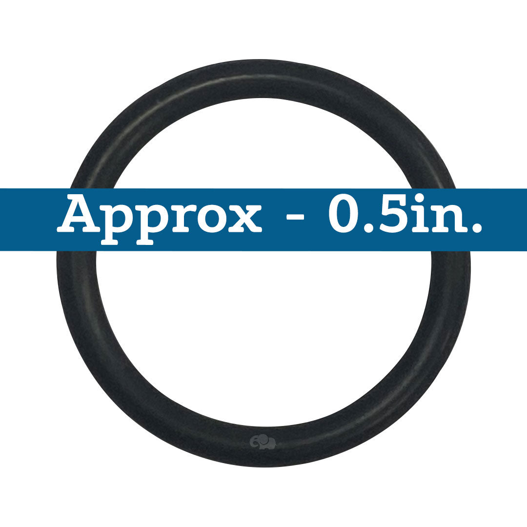 American (470642) Titan CM Lid,  Quantum CM Filter O-Ring Viton || O-350V-BAGGED