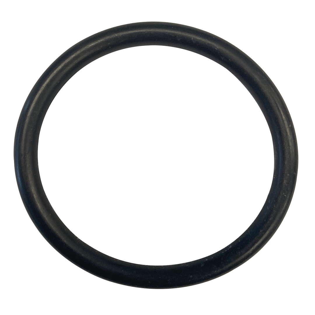 Anthony/Kim Rear Seal O-Ring || O-4