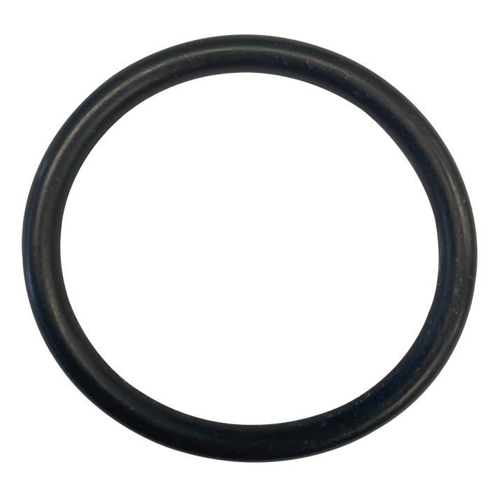 Anthony/Kim Rear Seal O-Ring || O-4