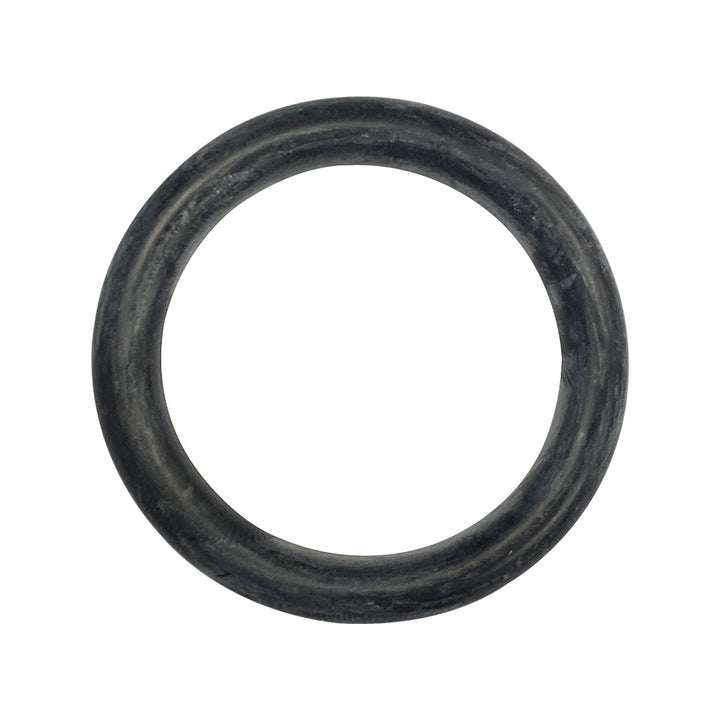 Hayward (AX5010G10) Wall Quick Connect O-Ring || O-403-BAGGED