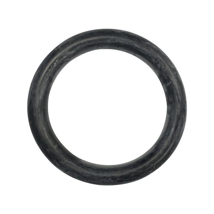 Hayward (AX5010G10) Wall Quick Connect O-Ring || O-403-BAGGED