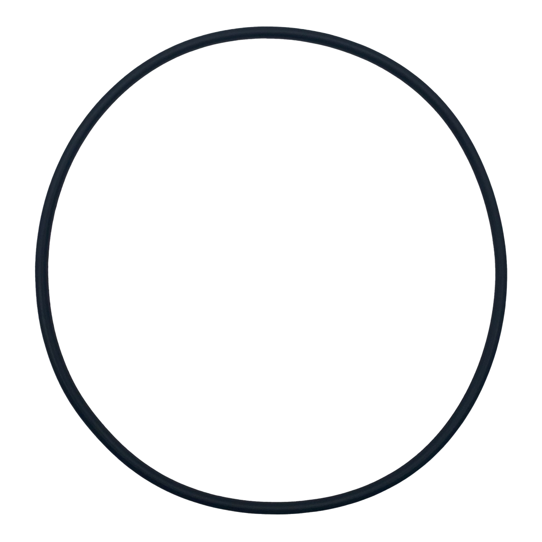 Jandy (R0480300) VS FloPro Pump Backplate O-Ring || O-465-BAGGED