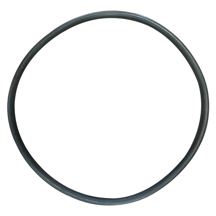 Sta Rite (U9-373) Flo Tech/Aquatools/Dyna-Glas/Dyna-Jet Seal Plate O-Ring || O-469-BAGGED