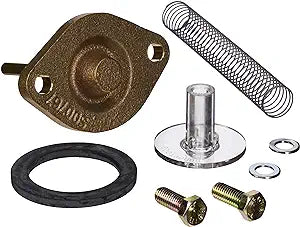 Jandy Legacy Model LRZM Pool/Spa Heater Bypass Assembly, Bronze