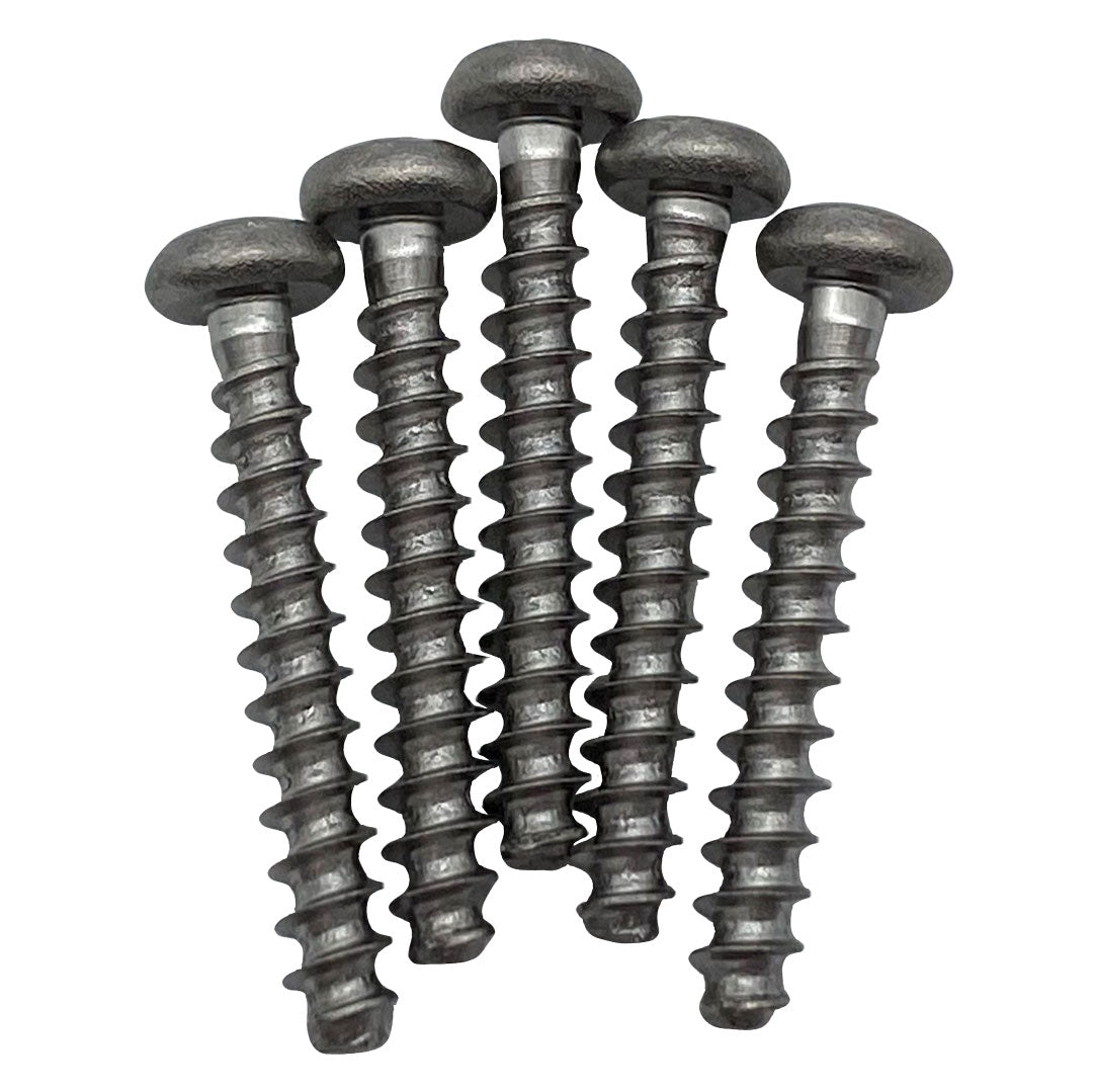 Polaris Screw 4*25Mm (5 Pack) | R0638900