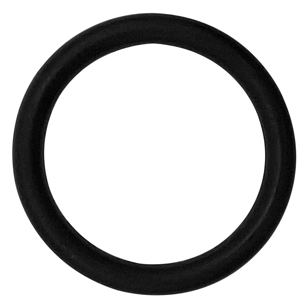 Polaris Quattro Sport O-Ring, Feed Hose Connector | R0842000