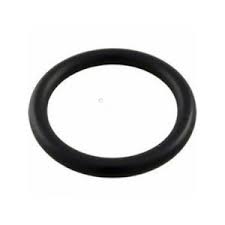 Pentair Drain Plug O-Ring Replacement