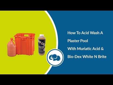 Bio-Dex Laboratories Plaster White 'n Brite (32 Oz.)