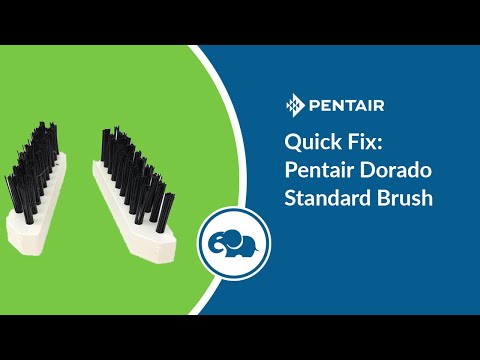 Pentair Dorado Suction Side Cleaner | 360151