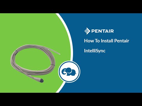 Pentair SuperFlo Digital Input Kit (25 Ft.) || 356324Z