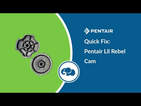 Pentair Lil Rebel Drive Train Kit || 360462