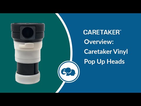 Caretaker 99 High Flow Cleaning Head (Pebble Gold) | 4-9-526