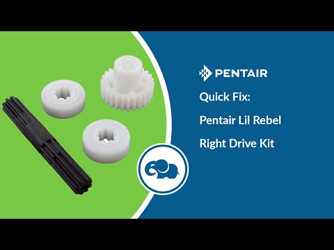 Pentair Lil Rebel Drive Train Kit || 360462