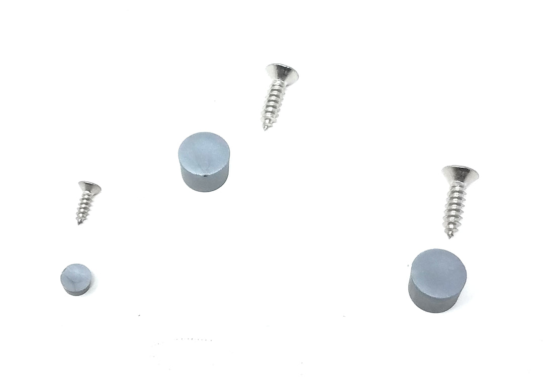 Hayward DV5000/KingRay Body Set Screws & Plugs