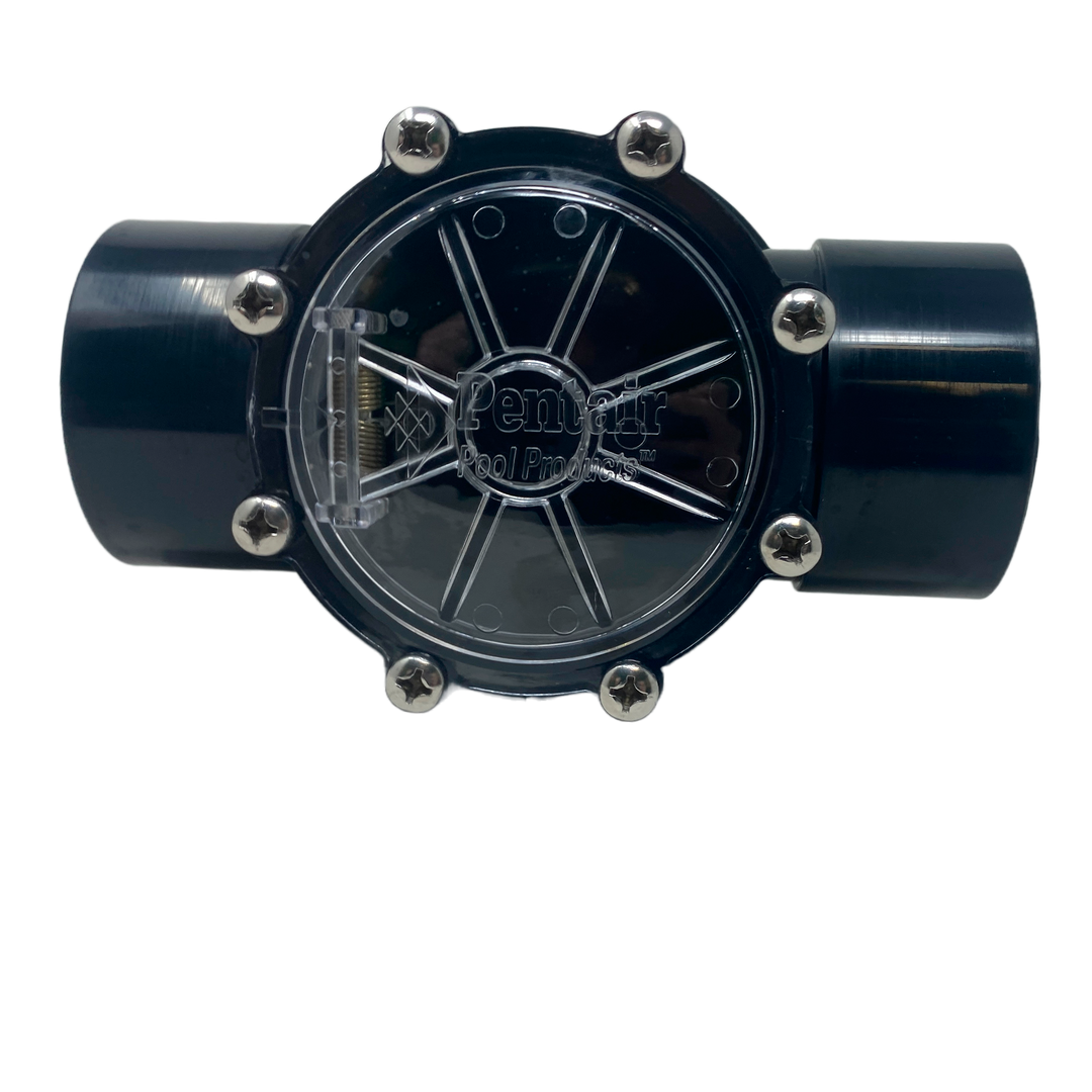 Pentair 2" Check Valve | 263042