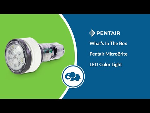 Pentair MicroBrite Color LED Light 50' | 620424