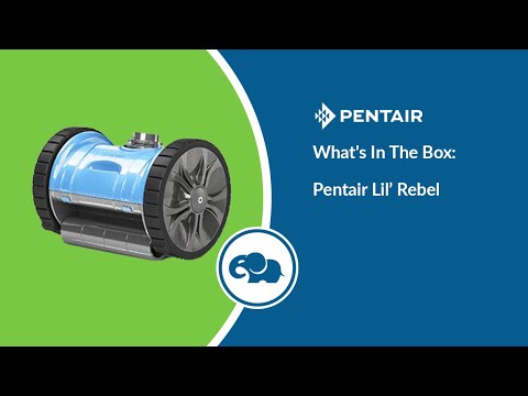 Pentair Lil Rebel Suction Side Cleaner | 360450