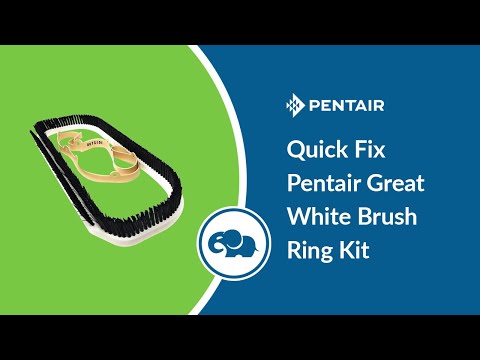 Pentair Kreepy Krauly Great White / Dorado Brush Ring Kit (Includes Vacuum Skirt)